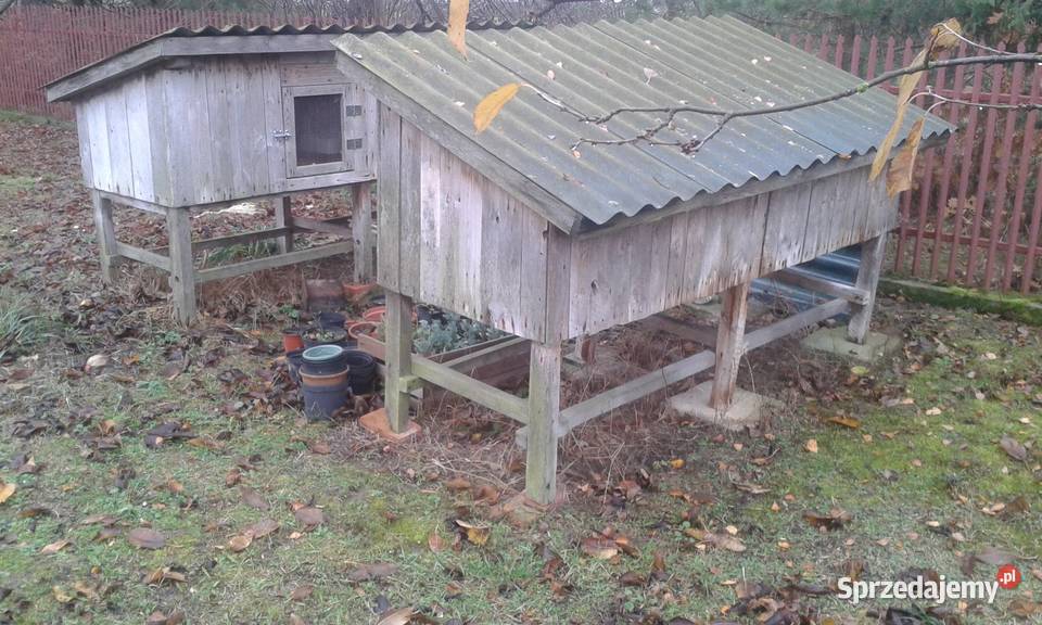 Klatki królików Przasnysz sprzedam