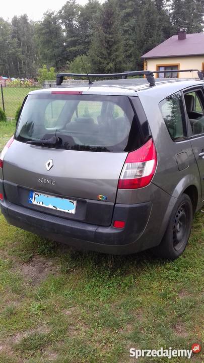 tania renowka Jeżowe