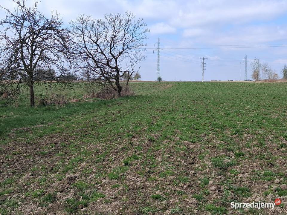 Inwestora Panattoni Park Żory dojazd asfaltowy Sprzedaż