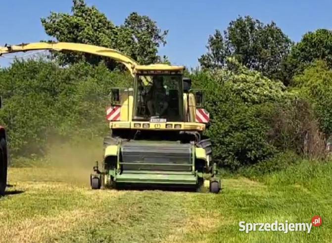 Krone Big X 650 Krzewata