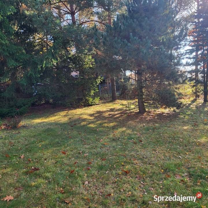 Działka letniskowo rekreacyjna Sprzedaż sprzedam