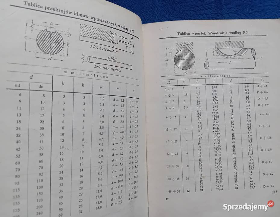 Inż Wincenty Czerwiński Poradnik Antykwariat Koźminek