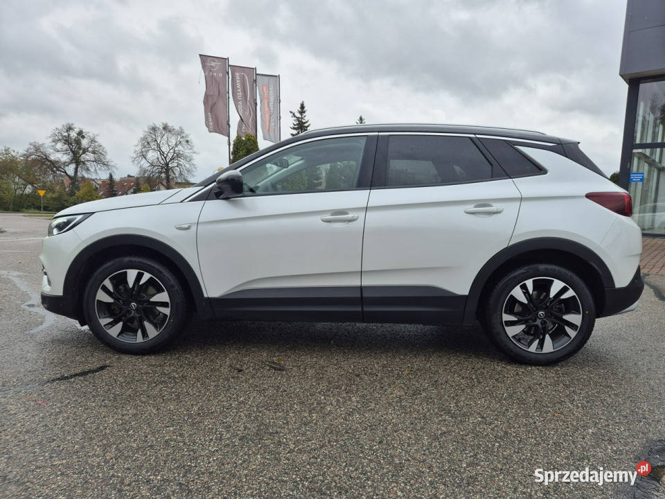 Opel Grandland X Ultimate 16 Turbo 180 AT8 Giżycko