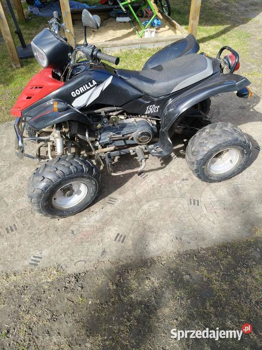 Quad Bashan 150 kujawsko-pomorskie Radziejów