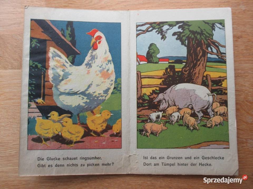 Antykwaryczna książka dzieci Unser Bauernhof Lublin