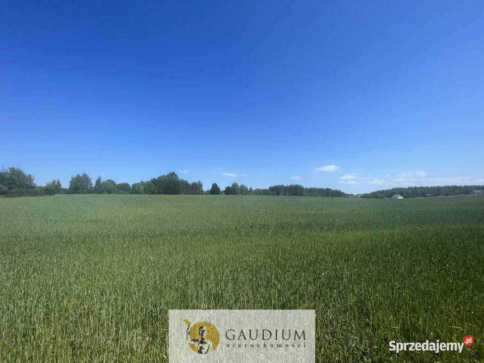 Działka o powierzchni 3012 m2 I gm Kolbudy Bielkówko