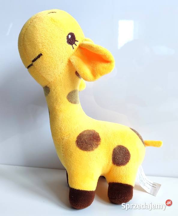 Żyrafa Antosia Axiom śląskie Katowice