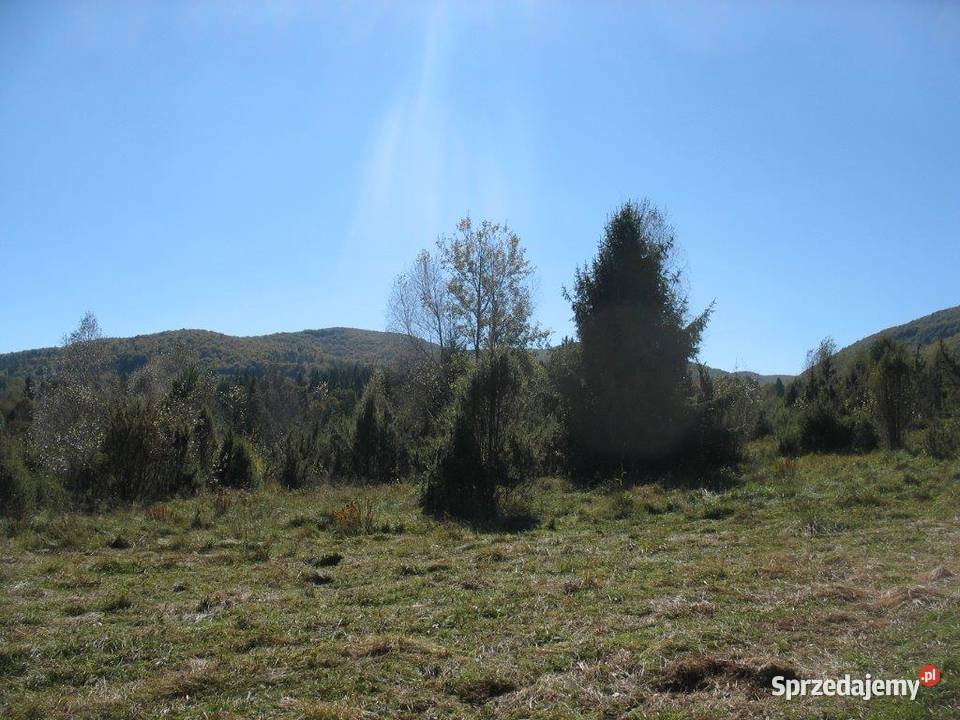 Piękna działka leśna Bieszczady 11zł/m2