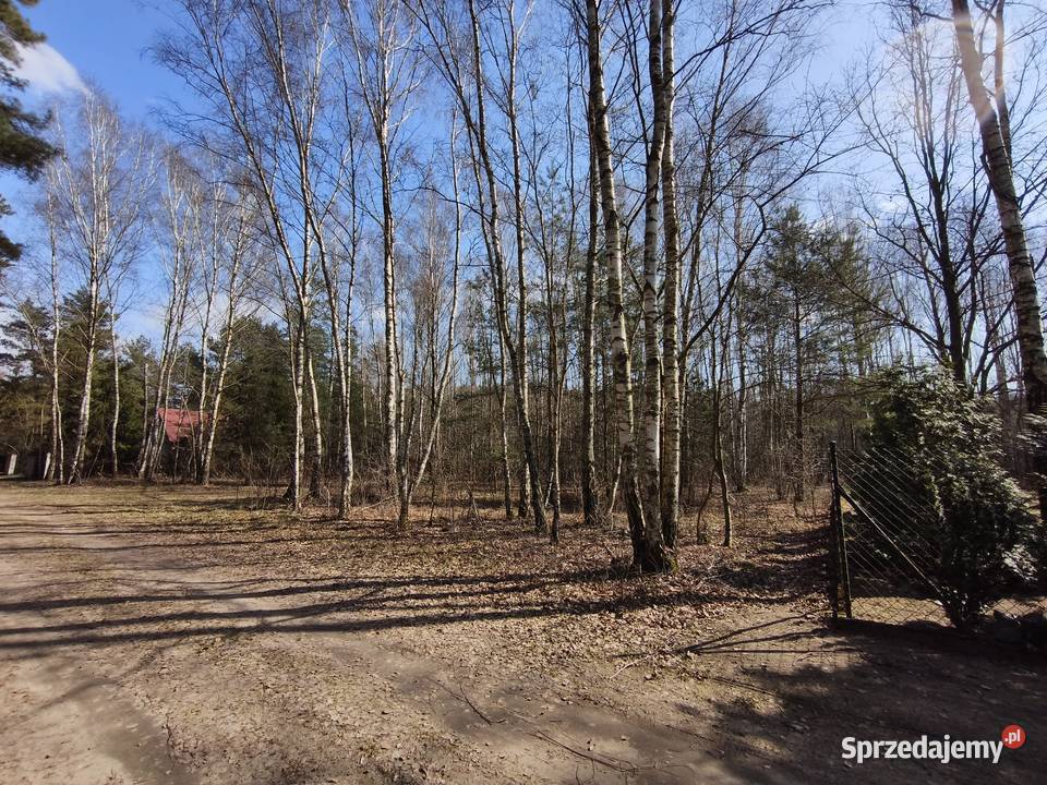 Sprzedam dwie działki rekreacyjno budowlane w Cyprianów