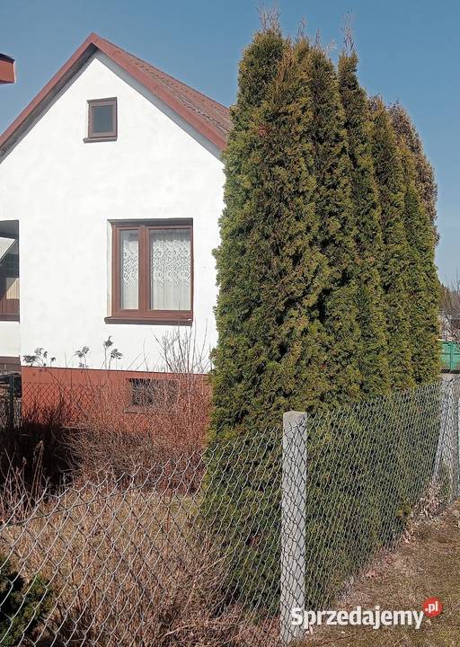 Sprzedam Ogródek Działkowy ROD w Mszczonowie Mszczonów