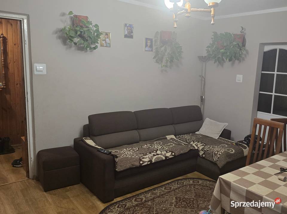 4 pokoje Łódź Olechów Liczba pokoi 4