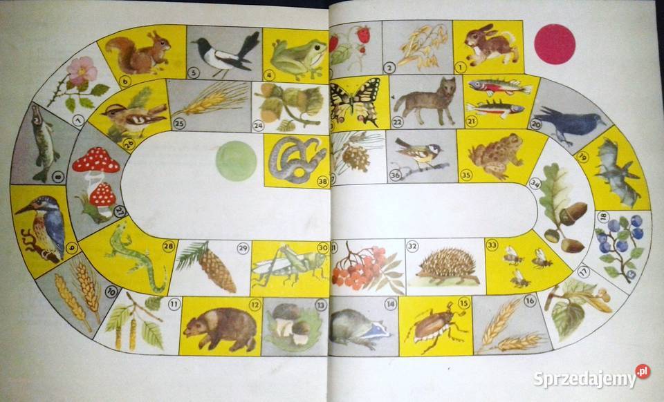 Razem ze słonkiem Lato 3 Maria Kownacka Pozostałe Chełm