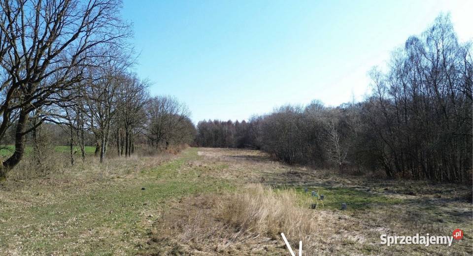 Działki we wsi Kołowo zachodniopomorskie