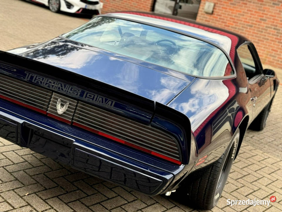 Pontiac Firebird Trans Am MIDNIGHT BLUE 1981 do 5000cm3 Sulechów sprzedam
