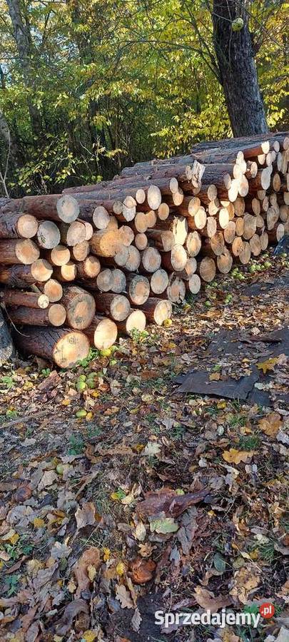 Drewno opałowe Opał Mucharzew sprzedam