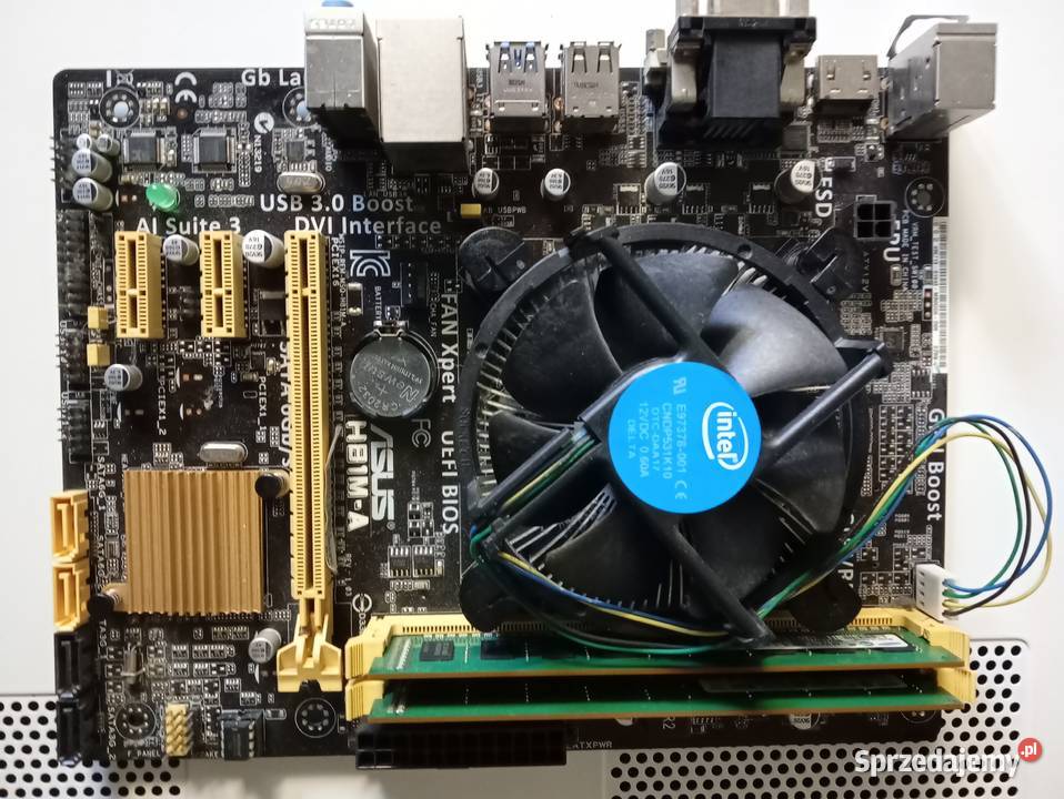 Asus H81MA małopolskie Myślenice sprzedam
