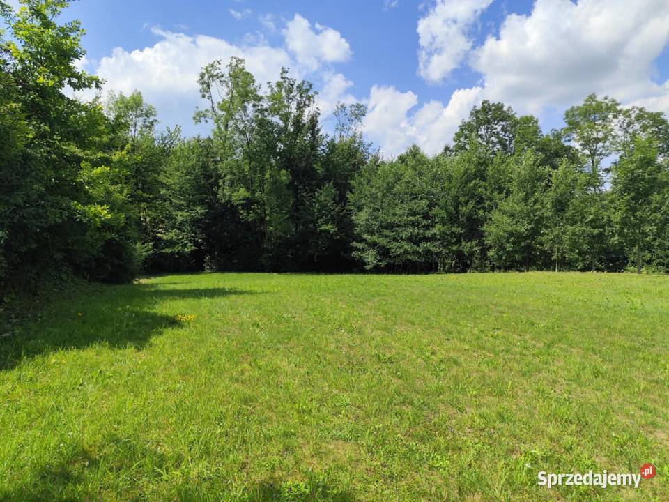 Sprzedam dom Łysa Góra