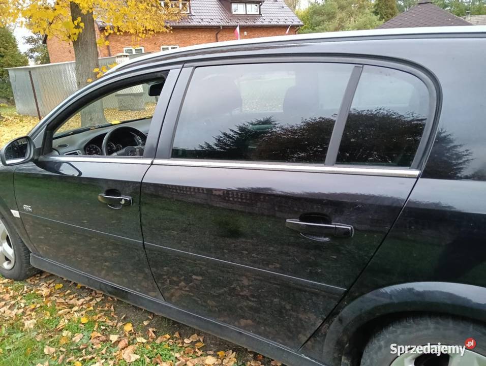 Opel Signum 19 120 Ćmielów