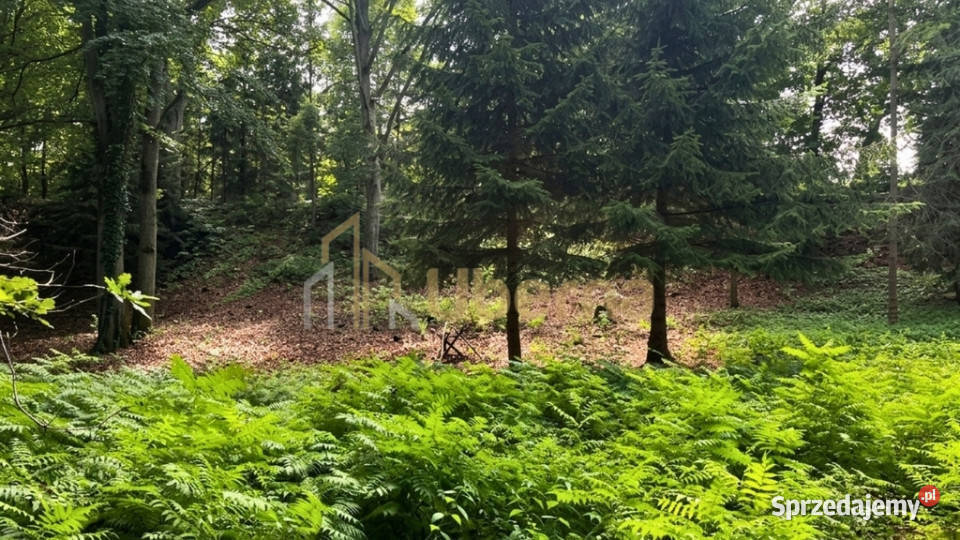 Działka 3206 m jeziorze z WZ Klępnica sprzedam