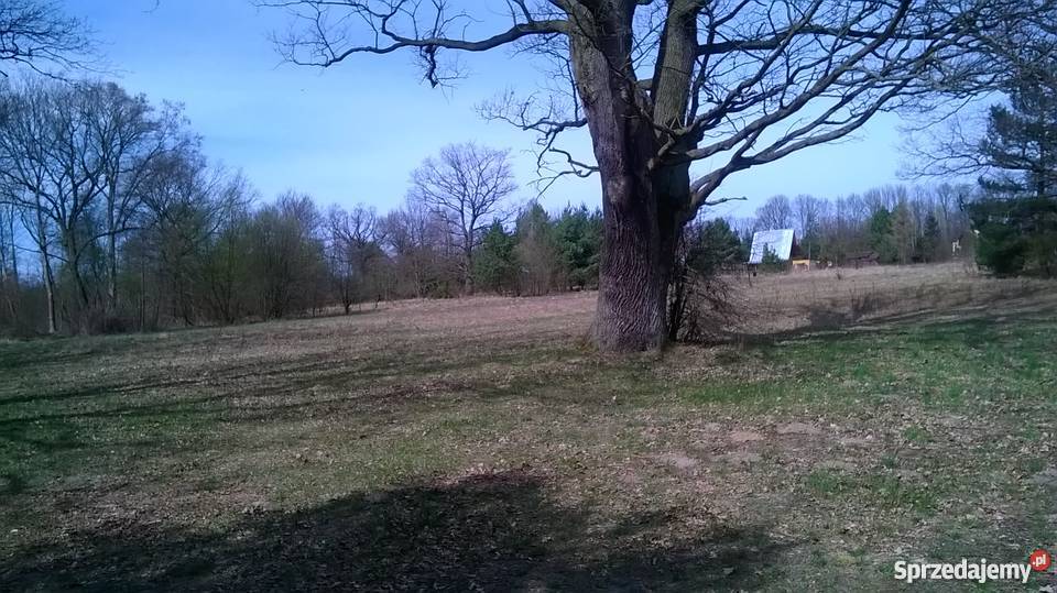 działka zalewem zegrzyńskim Arciechów 2700m2 Grunty i działki