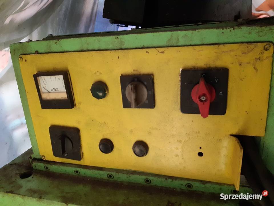 Wielopiła gasiennicowa Wasilków