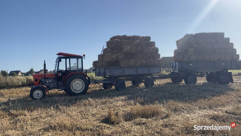 Siano Słoma kostka 2025 Bogucin