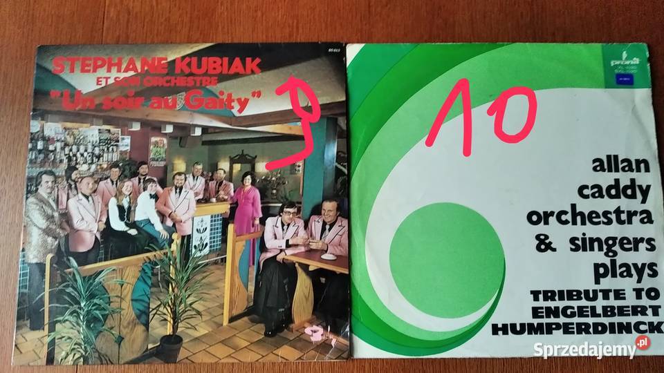 Płyty winylowe różne Wągrowiec