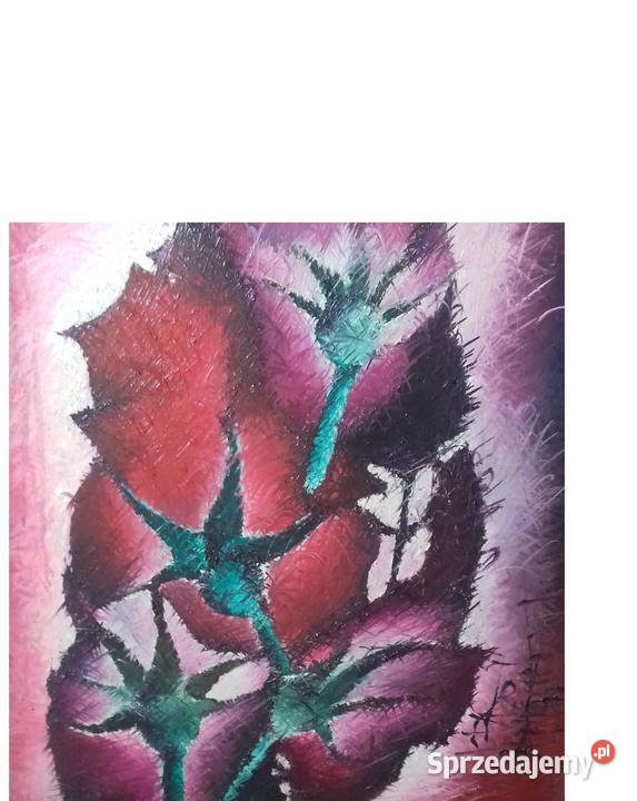 Afrodyzjaki Cztery Maki Jarosław