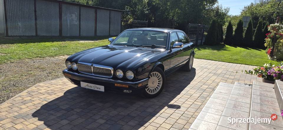 Piękny Jaguar XJ x300 Executive światła przeciwmgielne Konin sprzedam