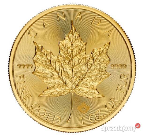 uncja zlota kanadyjski lisc klonowy Poznań