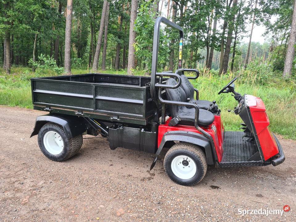 Toro 3300d workman Rok produkcji 2001 Pszczyna