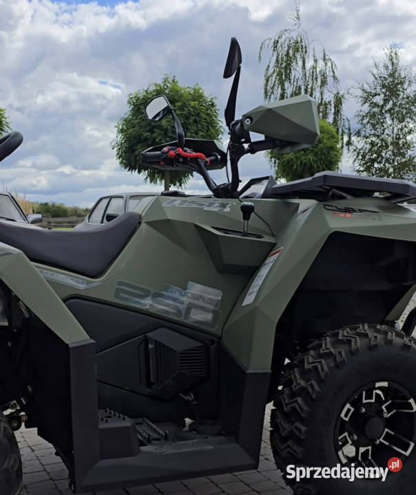 ASIX Inny Asix Cyber 250 rr z Homologacją T3B wielkopolskie Stare Miasto sprzedam