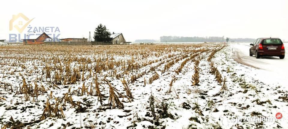 Sprzedam działkę o pow 4606 m2 w Leonowie w Leonów