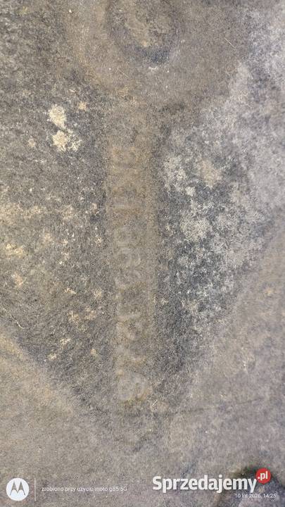 Osłona pod silnik i skrzynię biegów A4 B8 A5 8t Lubin