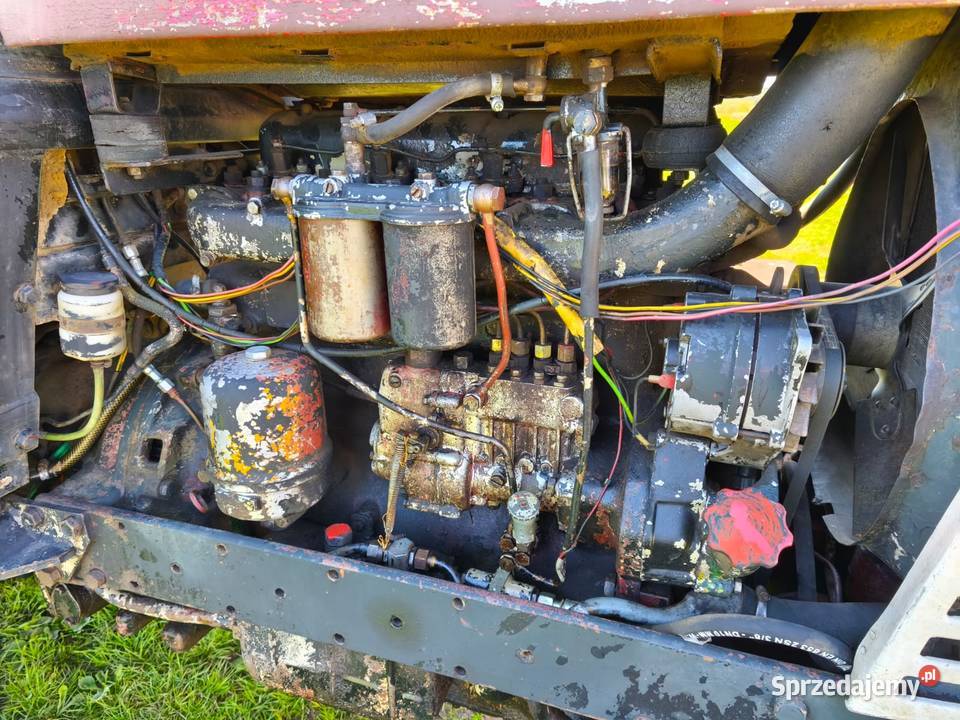 ZETOR 8011 sprawny żółw i zając Międzylesie