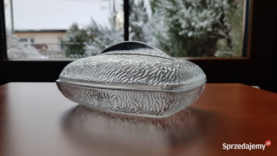 Maselnica maselniczka Awokado Huta Hortensja Dąbrowa Górnicza