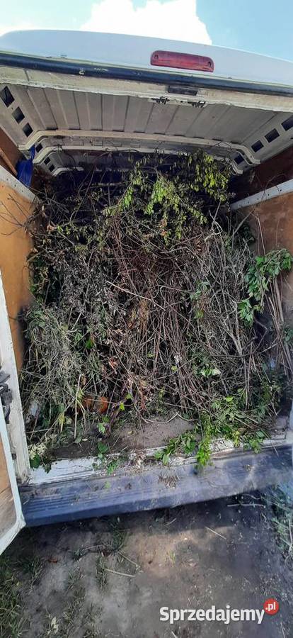 Sprzątanie Ogródków ROD Karczowanie Rozbiórka Lublin