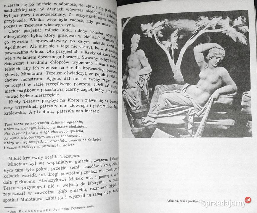 Mitologia Wierzenia i podania Greków i Rzymian miękka Chełm