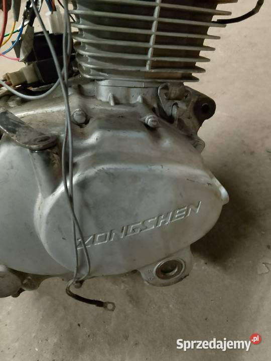 Silnik quad 250 41 1 zs167fmm Motoryzacja Garbów