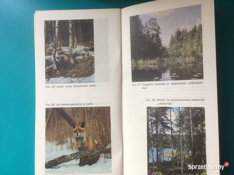 3480 Iński Park Krajobrazowy Szczecin sprzedam