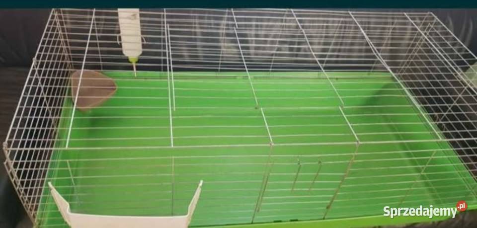 Duża klatka królika świnki morskiej Lwówek Śląski sprzedam