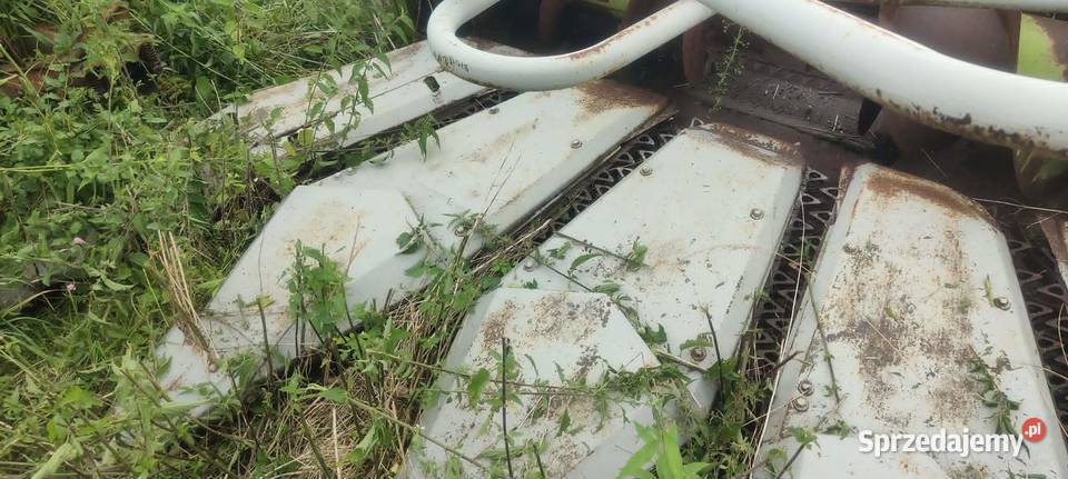 Przystawka heder Claas Jaguar 6 rzędowy Claas Szczytno sprzedam