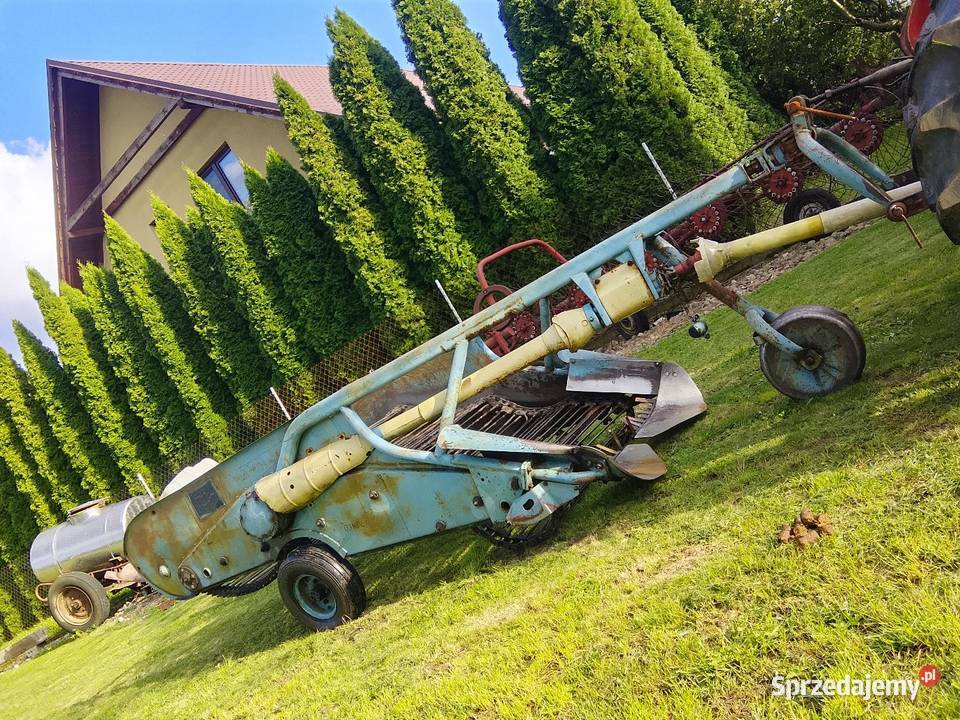 Kopaczka elewatorowa dwurzędowa do ziemniaków sprzedam