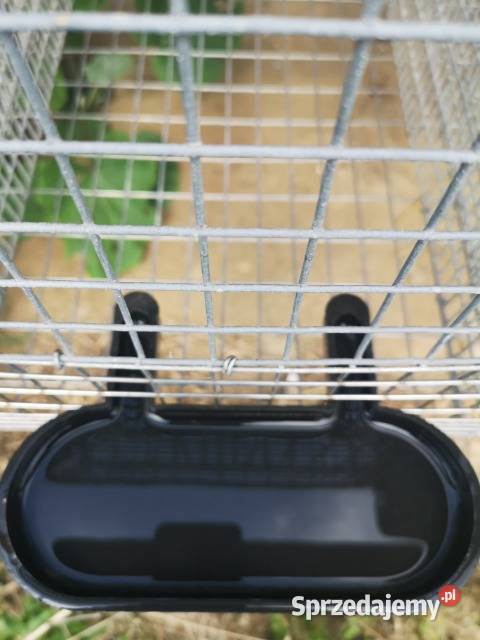 Klatka królika Sławno sprzedam