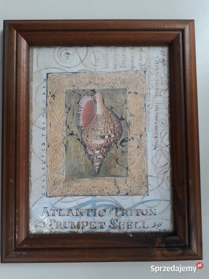 Obraz Shelly Hely Malarstwo