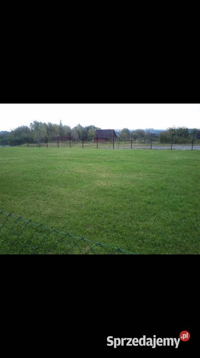 Ogródek działkowy ROD PSZCZÓŁKA GLIWICE ŁABĘDY sprzedam