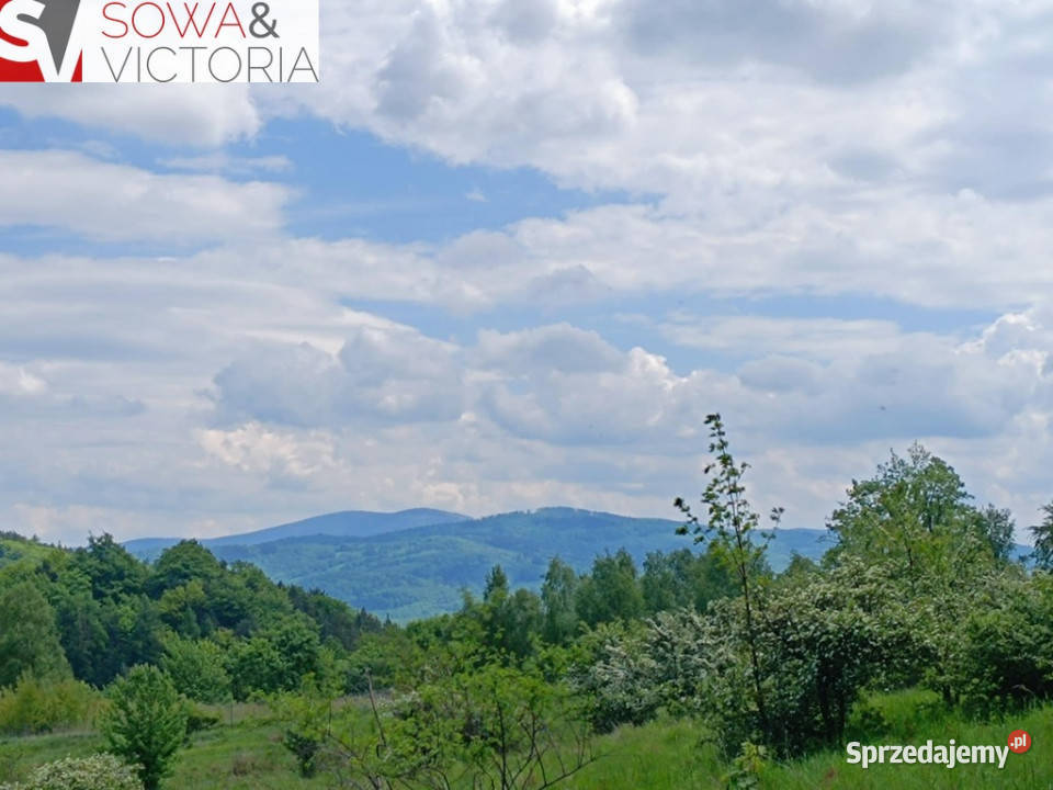 Widok na góry piękny drzewostan lesie Sprzedaż Jedlina-Zdrój