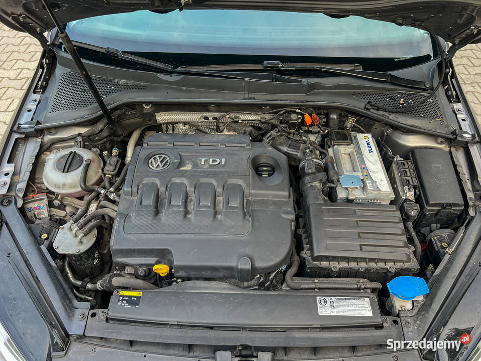 Volkswagen Golf 7 Variant 16 TDI Białobrzegi