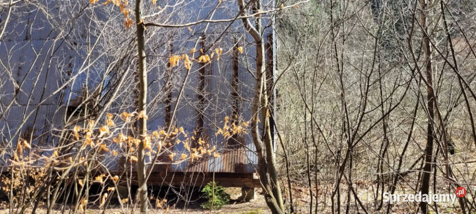 DOMEK W LESIE małopolskie Targanice