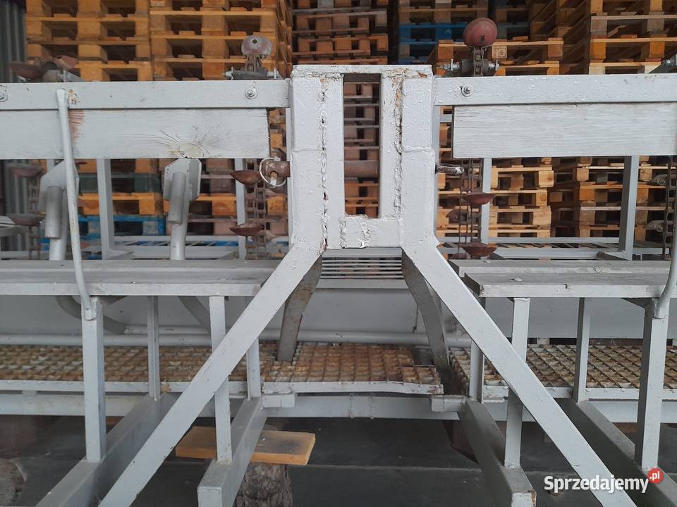 Sadzarka do ziemniaków Sarbinowo